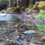 2025年版－ウォーターサーバーおすすめ比較-5選【料金・口コミ・選び方】