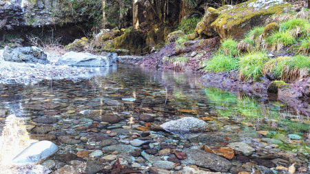 2025年版-ウォーターサーバーおすすめ比較-5選【料金・口コミ・選び方】